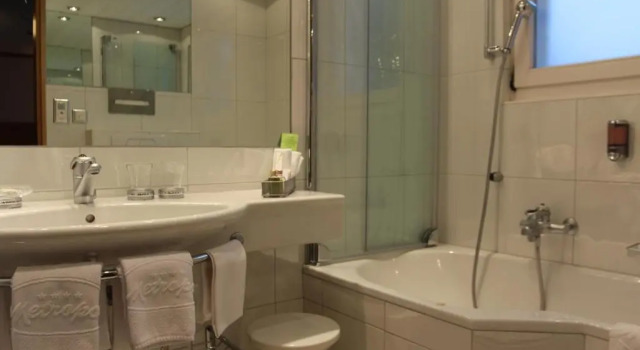 Двухместный номер Economy Hotel Metropol & Spa Zermatt