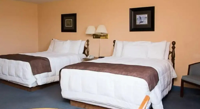 Номер Comfort Stanley Bridge Country Resort