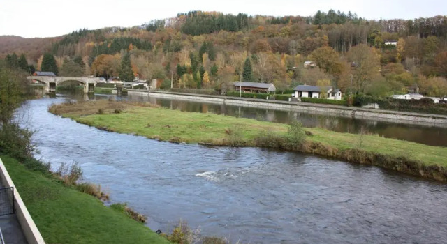 Loiseau sur la Semois