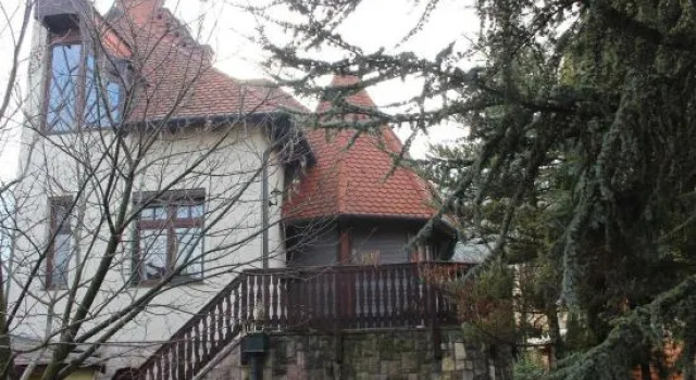 Tulipán Vendégház