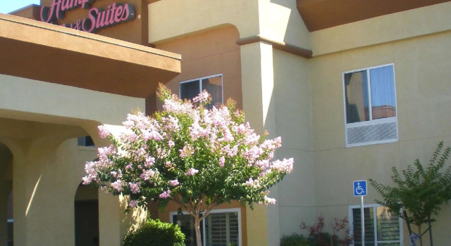 Номер Standard Hampton Inn & Suites Sacramento-Cal Expo