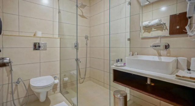 Номер Superior The Chinar Resort and Spa, Srinagar