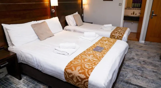 Номер Classic New Wilmington Hotel