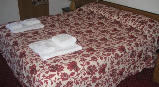 Двухместный номер Economy Hotel Niagara