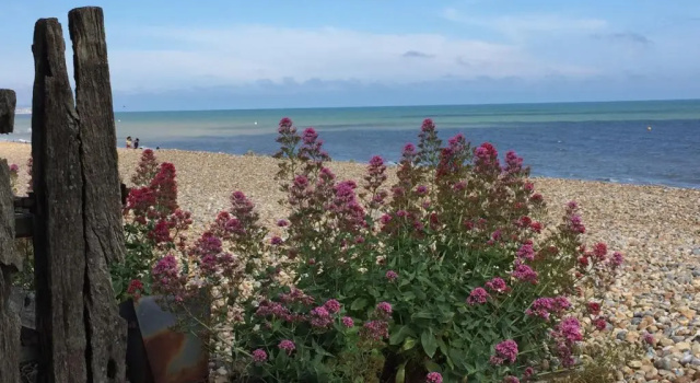 Коттедж Beautiful 4 Bed Beach House