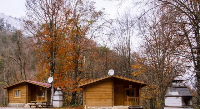 Номер Standard Habitat Mesire Evleri