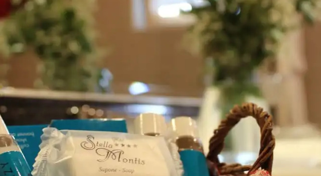 Одноместный номер Standard Hotel Stella Montis