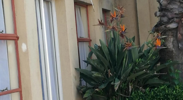 Naisars Apartments Primrose,Johannesburg, Забронировать Апартаменты/квартира Примроуз , рядом с University of Johannesburg
