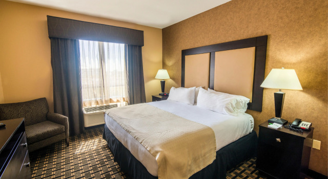 Holiday Inn Arlington NE-Rangers Ballpark by IHG