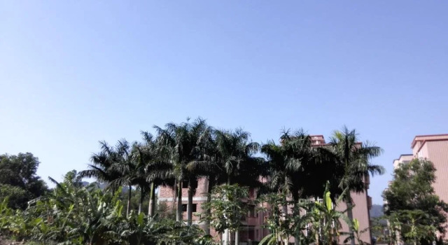 Shenzhen Dapeng Nanao Xing Kong Youth Hostel, Buchen Sie Hostel Dapeng Shenzhen Area