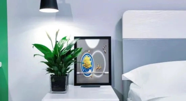 Люкс Superior Linqi Fengyue Homestay