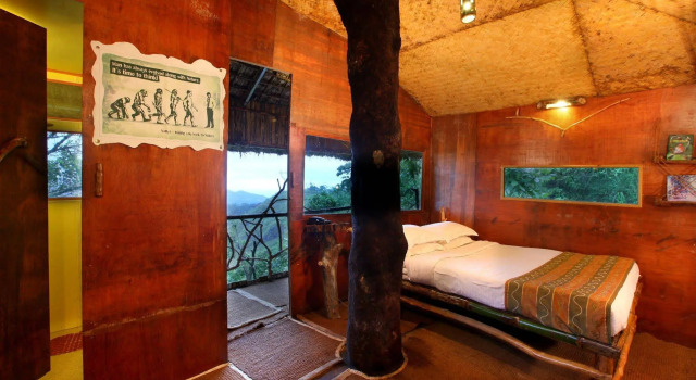 Vanya Tree House