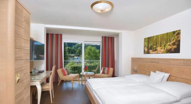 Номер Superior Hotel Hohe Linde