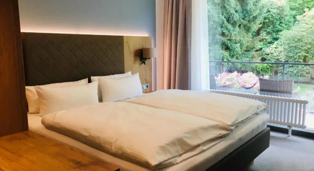Номер Standard с видом на парк DAS SCHLOSSBERG - Boutique Hotel im Park- Nahe der Therme