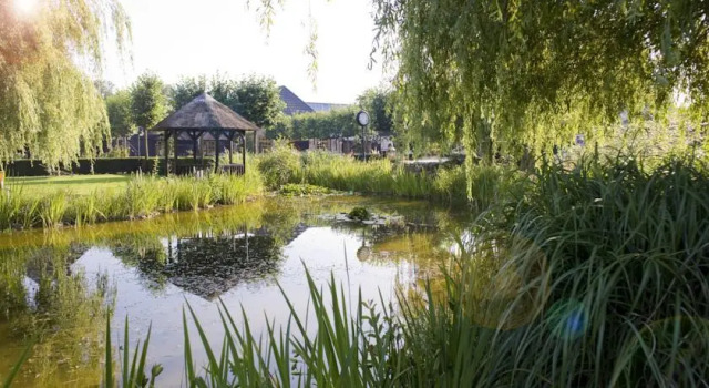Zwaluwhoeve Hotel De Tippe, Book Hotel Hierden Gelderland