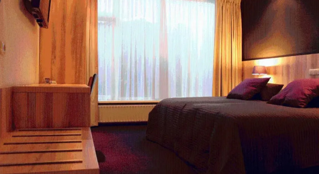 Двухместный номер Standard Parkhotel Hugo de Vries