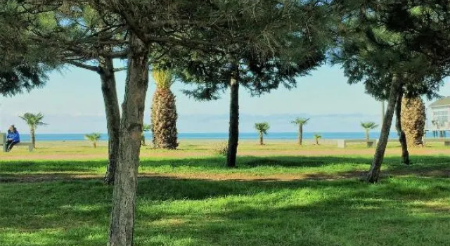Apartment Lela by the sea - 2 rooms, Book Apartment Batumi 