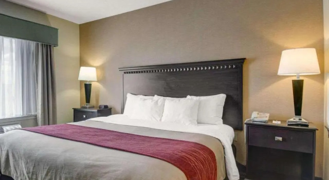 Одноместный люкс Spark by Hilton Woburn Boston