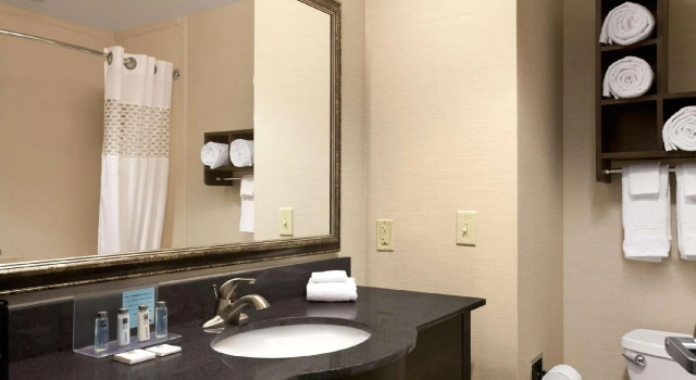 Двухместный люкс Hampton Inn & Suites - Mansfield