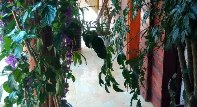 Puzhehei Anyi Jiayuan Homestay, Buchen Sie Hotel Hotels in Yunnan mit Parkplatz, Parkplätze