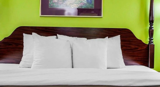 Standard Zimmer Quality Inn