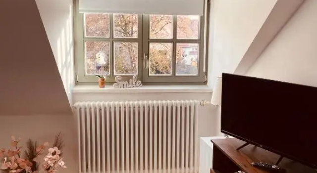 Apartment Altstadt Freiberg