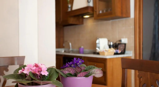 Номер Deluxe Relais Villa Belvedere