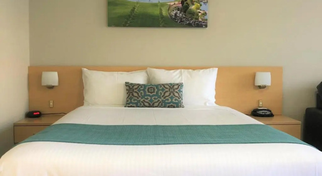 Семейный номер Deluxe Bathurst Motor Inn