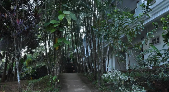 Vythiri Thadakam Resorts