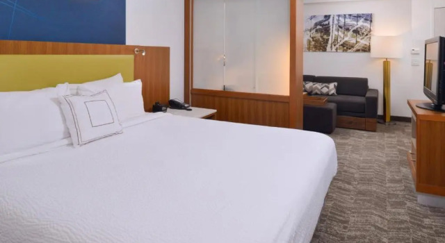 Студия SpringHill Suites Durham Chapel Hill