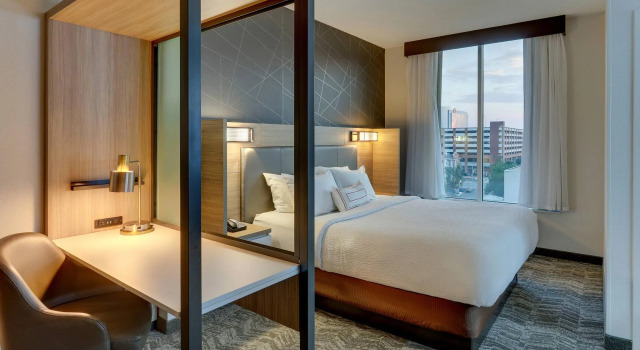 Двухместная студия SpringHill Suites by Marriott Birmingham Downtown at UAB