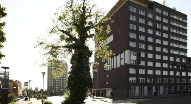 Одноместный номер Standard NH Groningen Hotel