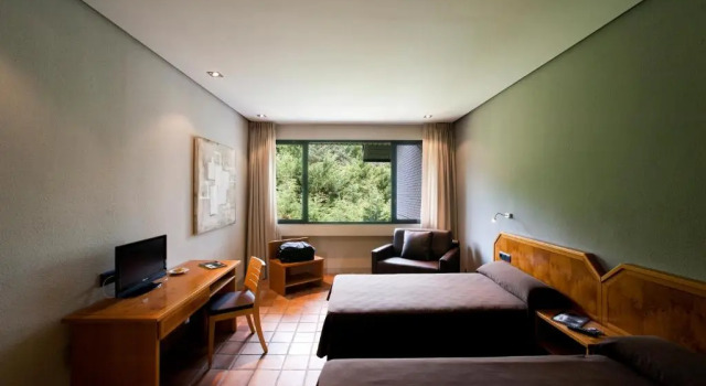Standard Double room AS Hoteles Altube