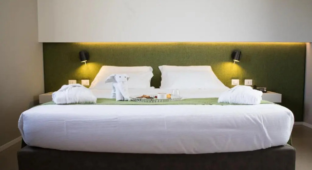 Двухместный номер Superior Airone City Hotel