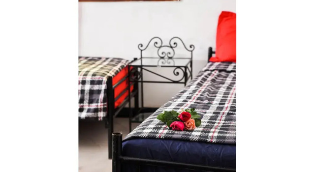 Peace Hostel - Adults Only