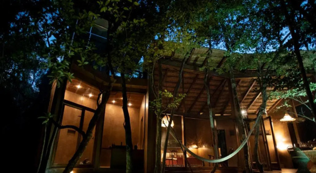 OJO DE ÁRBOL, boutique cabin in the jungle. Relax
