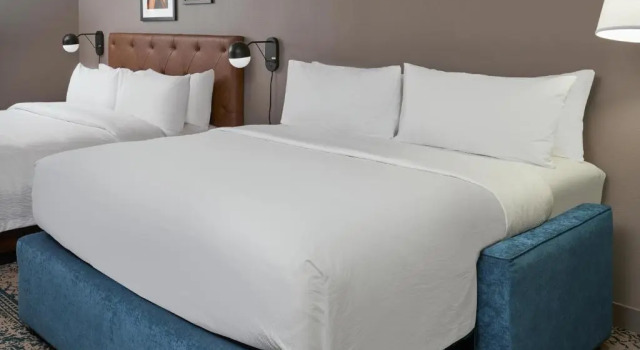 Двухместный номер Standard Four Points by Sheraton Chicago Schaumburg