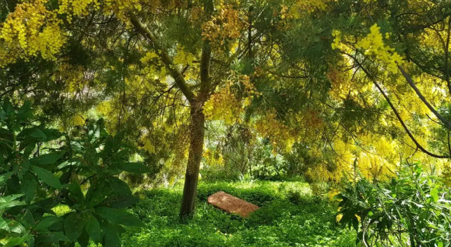Коттедж Cuevas De Barreto