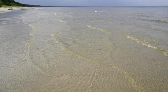 Студия Seaside Studio Apartment THE RED FISH
