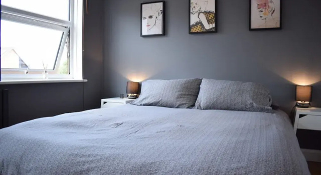 Cosy 1 Bedroom Apartment in Homerton