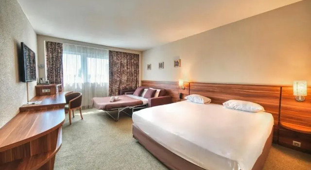 Номер Executive с красивым видом из окна Kyriad Prestige Mulhouse - Basel