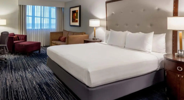 Двухместный номер Deluxe Sonesta Hotel Houston IAH Airport