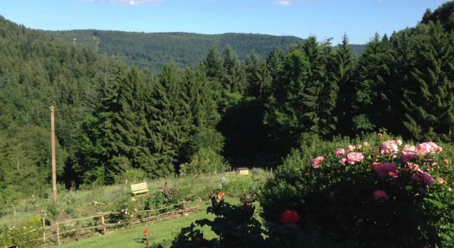 Двухместный номер Standard с балконом The Moosbach Garden