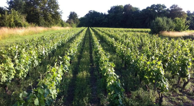 Domaine du Mont Des Chenes, Rezerwuj Hotel  