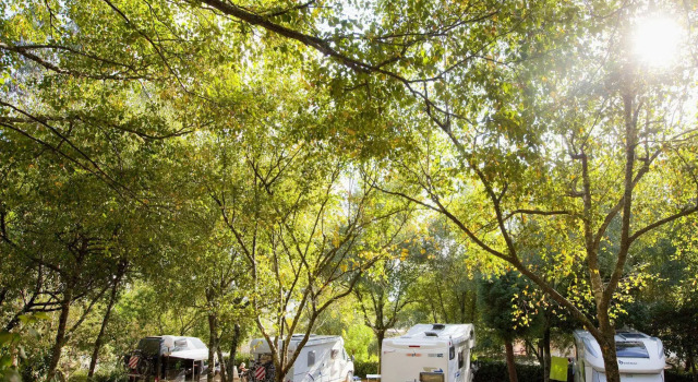 Camping As Cancelas