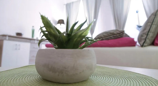 Apartament Donkey 2