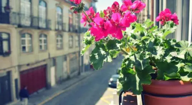 Cozy loft in downtown, Забронировать Отель Cedofeita / Santo Ildefonso / Se / Miragaia / Sao Nicolau e Vitoria Порту, рядом с Lapa Metro Station