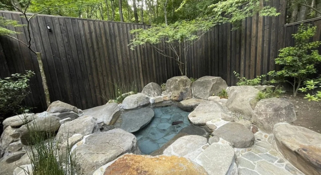 Номер Standard Nihon-no-Ashitaba