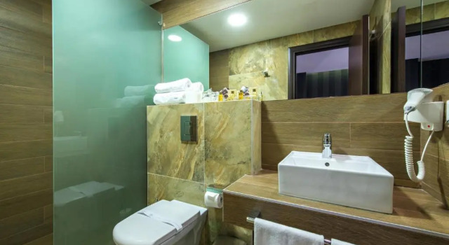 Номер Standard Garni Hotel Aveny