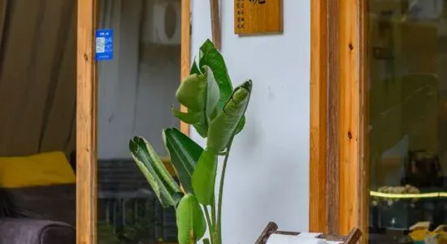 Qingcheng Mountain is not late, Varaa Hotelli Chengdu Sichuan